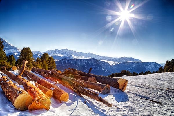 الضوء لتجديد الطاقة في الشتاء