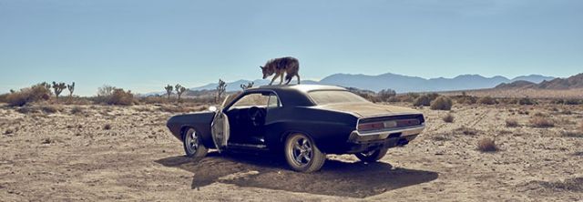 مشهد من الفيلم