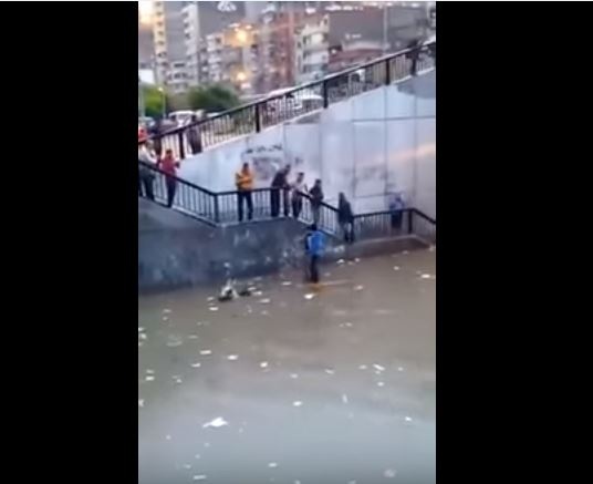 بالفيديو -  في شوارع الإسكندرية:  شاب يتنقل بعوامة وحمار ينقذ شابين!