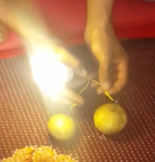 بالفيديو – مع أزمة الكهرباء تعلموا كيفية إنارة اللمبة من البطاطس!