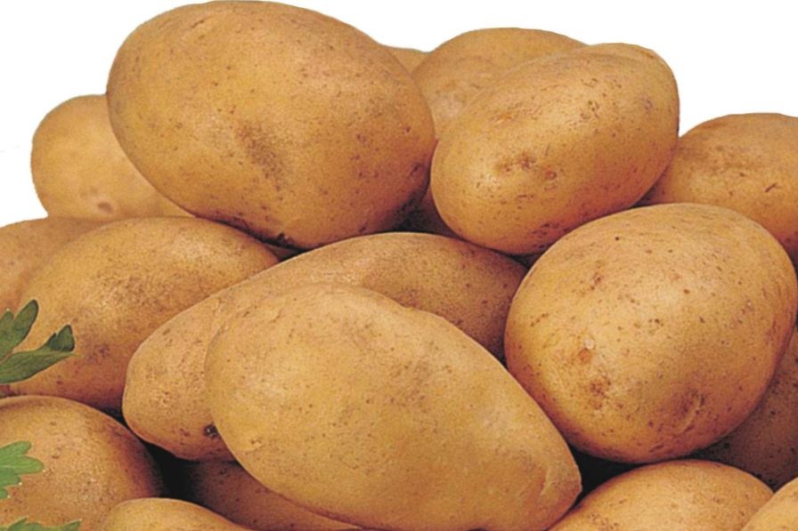 هل تحبون البطاطا؟ ستحبونها أكثر بعد الاطلاع على هذه الدراسة!