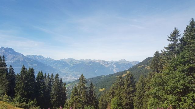المساحات الخضراء في Villars المساحات الخضراء في Villars
