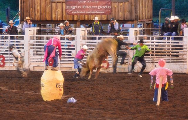 لاس فيغاس مهرجان نهائيات الروديو الوطني 