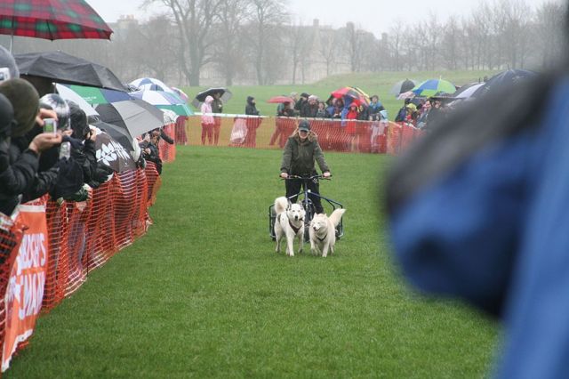 أدنبره عاصمة اسكوتلندا ومهرجان هوغمانه Hogmanay 