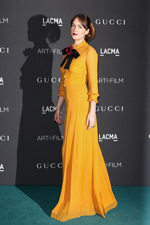 داكوتا جونسون نعومة وشفافية