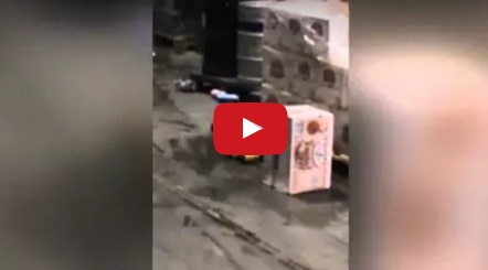 بالفيديو - حيوان ثمل في مشهد طريف جداًَ