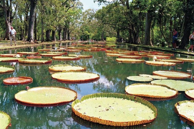 بالصور - تعرفوا على جزيرة موريشيوس المميزة لقضاء شهر العسل