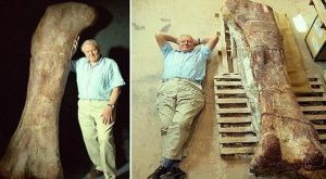 عملاق الأرض الأضخم يتحدى العلماء بعد 100 مليون سنة!