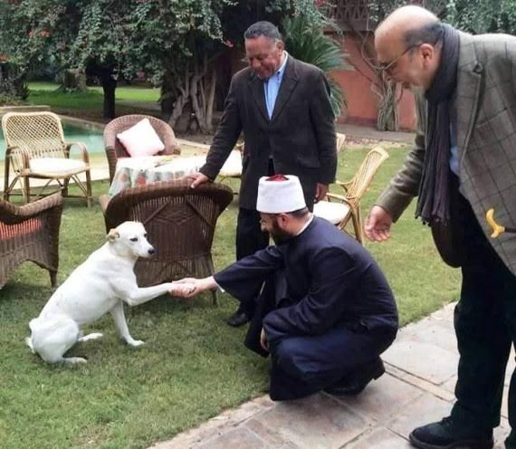 انتقادات لاذعة لشيخ مصري صافح كلباً... ماذا حدث وكيف ردّ؟