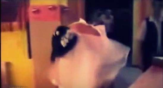 بالفيديو - عريس يتسبب في كارثة لعروسه في حفل الزفاف