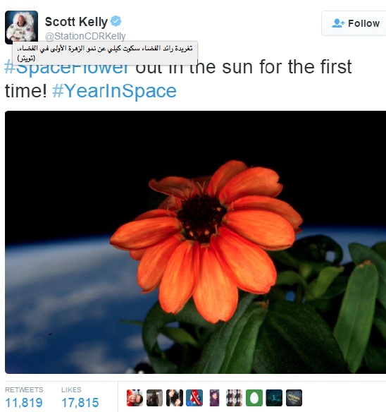 هذه هي الزهرة الأولى في الفضاء... شاهدوا شكلها