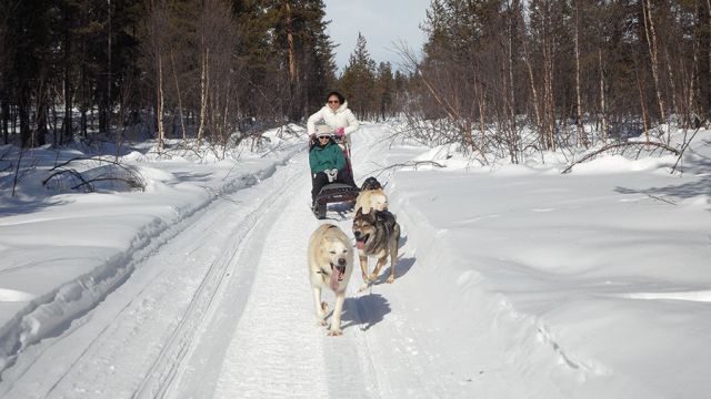 النوم في غرفة جليدية في فندق الجليد في السويد 