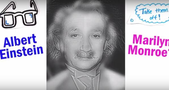 هل ترى مارلين مونرو أم أينتشاين؟