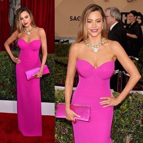 Sofia Vergara  in Vera Wang