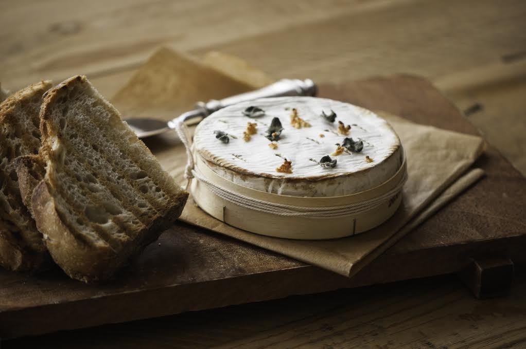 الأكل فنّ مع مها: جبنة الكاممبير السائحة