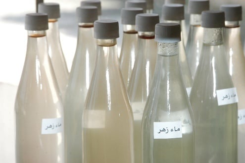 ماء الزهر: فوائد لا تعدّ ولا تحصى