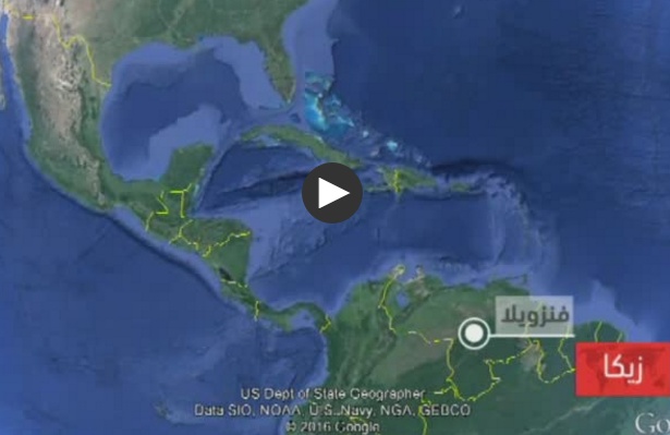 بالفيديو - هل ينتقل فيروس 