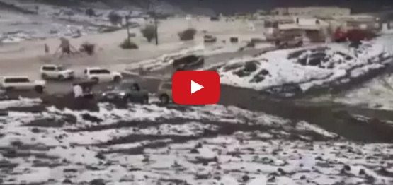 بالفيديو - تساقط الثلوج في الإمارت بظاهرة نادرة... و MBC تؤجل حفلها