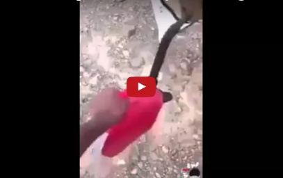 بالفيديو - إماراتي يشعل النار في سيارته ليتباهى بسعرها!