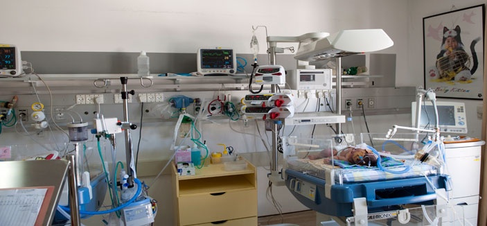 مغربية تلد أرنباً.. وتتحول الى القضاء!