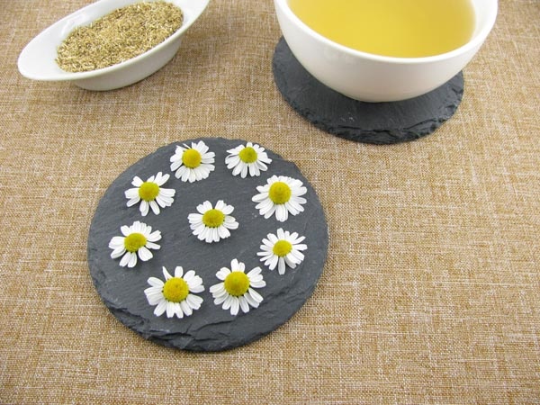 البابونج والعقدة الصفراء لشعر ذهبي جميل