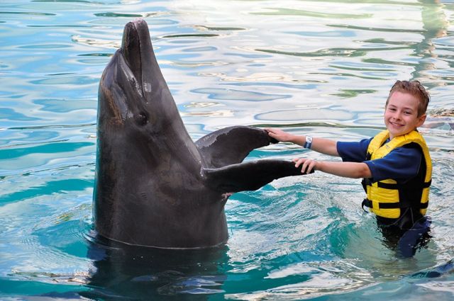 اسبحي مع الدلافين في دبي ثم تزلجي في وسط الصحراء 