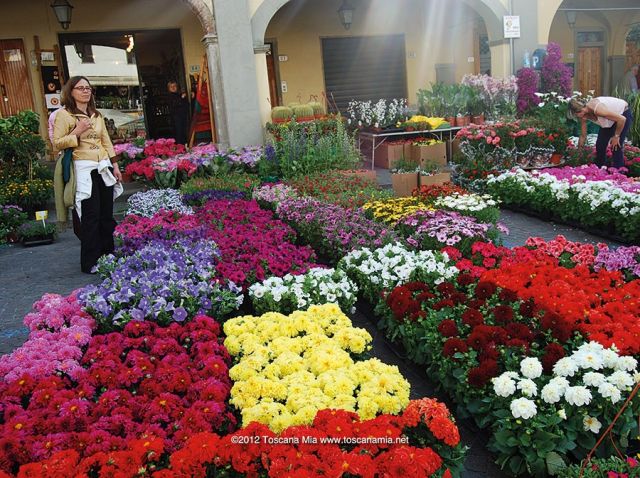توسكانا الإيطالية وركوب الدراجة الهوائية 