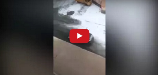 بالفيديو - شجار نسائي تحول إلى معركة شرسة بالسيارات والتصادم