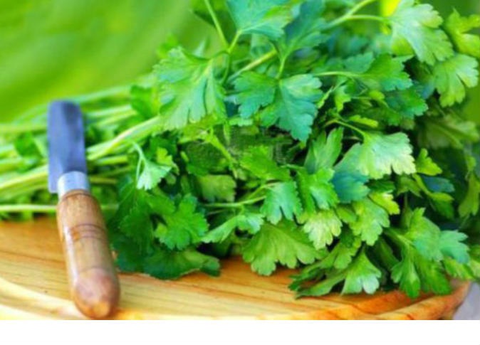 البقدونس وصفة مثالية للتخلص من رائحة الفم.. جربوها