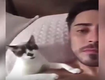 بالفيديو – قط يقبل صاحبه على السرير.. شاهدوا طرافته
