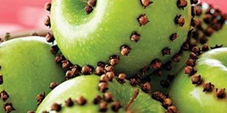 وداعاً للمبيدات.. حيلة بسيطة لطرد الذباب في الصيف!