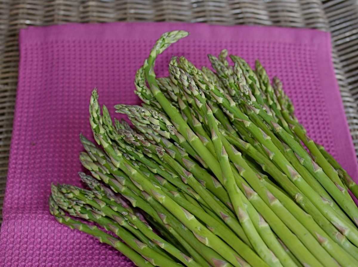 اجعلوا الهليون أساسي في وجباتكم لهذه الاسباب..