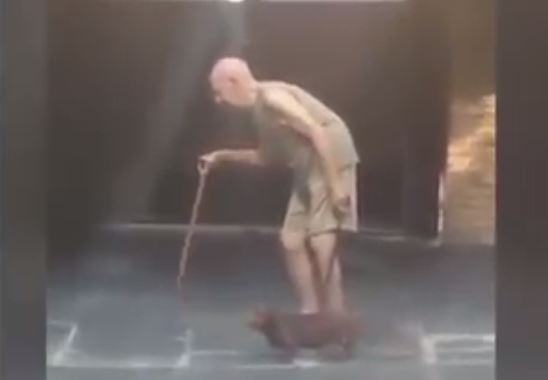 فيديو مؤثر – كلب يخطف الانظار لصبره مع صاحبه المريض