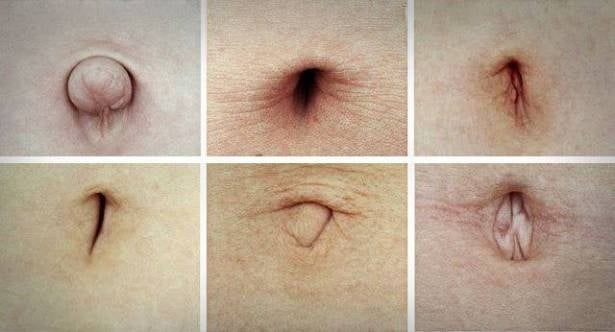 شكل سرة البطن يدل على مدة عمر الإنسان!