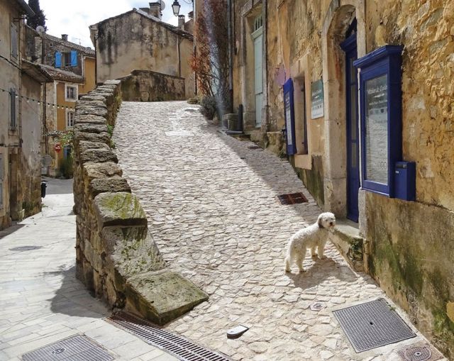 فرنسا قصر فو لو فيكونت