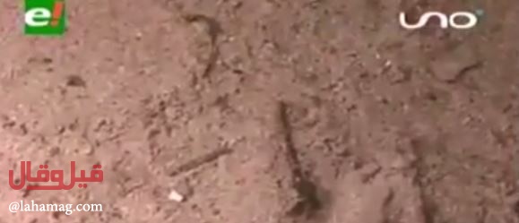 بالفيديو - مخلوق غريب يسقط من السماء يرعب الجميع!