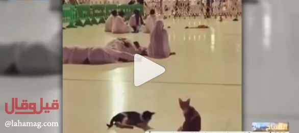 بالفيديو - مئات آلاف المشاهدات لقطة توقظ معتمراً في الحرم المكي