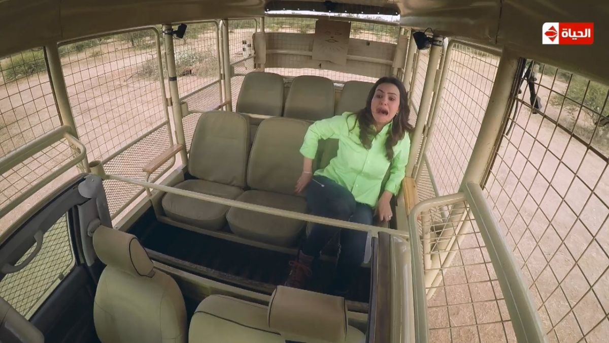 بالفيديو - شاهدوا دينا فؤاد تنهار بين الاسود وتصرخ: أنتم كفرة!