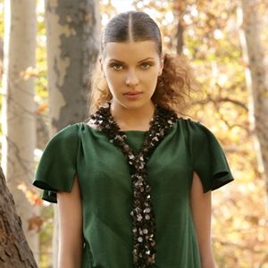 قصيدة الشتاء