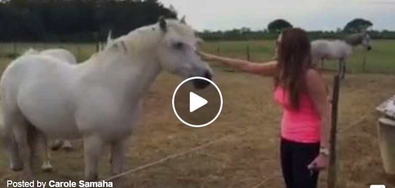 بالفيديو - كارول سماحة تتعرض للصعق بالكهرباء... اسمعوا صراخها!