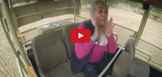 بالفيديو - هالة فاخر تصرخ 