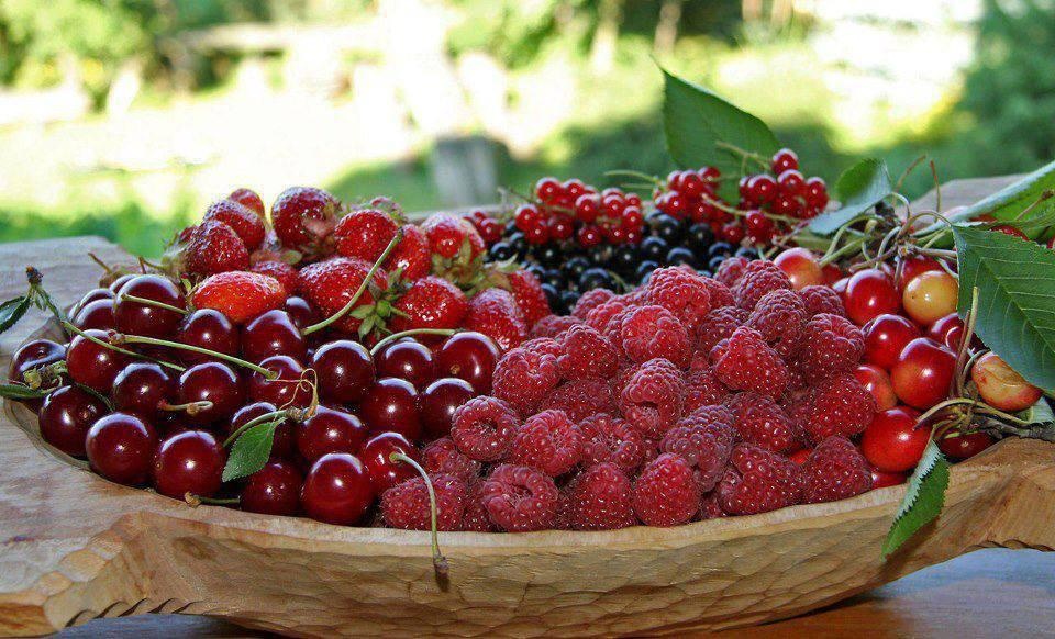 أطعمة تحارب الألم والالتهابات.. تعرفوا عليها!