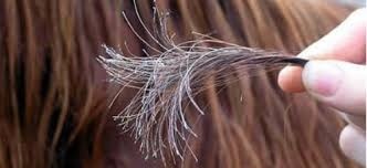 الفارلين للتخلص من تقصف الشعر!! إليكم الطريقة