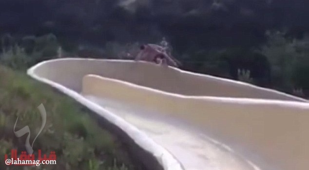 فيديو خطير - شاهدوا طيران شاب من أعلى 