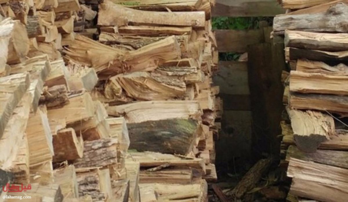 هل يمكنك حلّ لغز هذه الصورة التي أصابت الملايين بالحيرة وإيجاد الهر فيها؟!