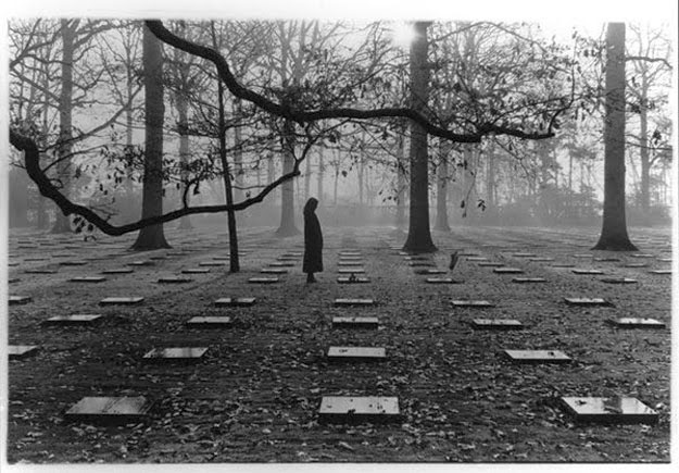 بعد عام من دفن 