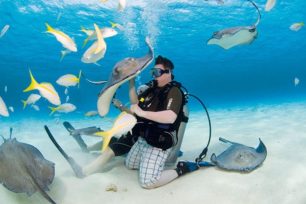 غراند كايمان، جزر كايمان في الكاريبي