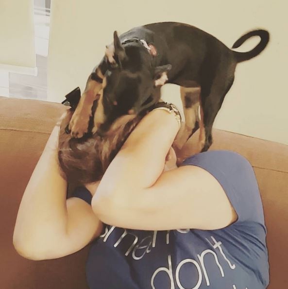 إليسا تتعرّض لهجوم عنيف من كلبة.. ماذا حصل لها؟