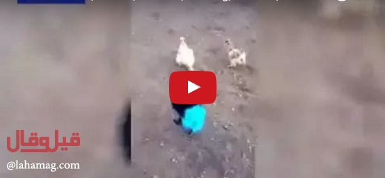 بالفيديو - ديك بـ