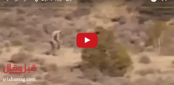 بالفيديو - مخلوق غريب يثير الرعب بعد ظهوره الأول